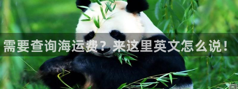 去公海赌博合法吗