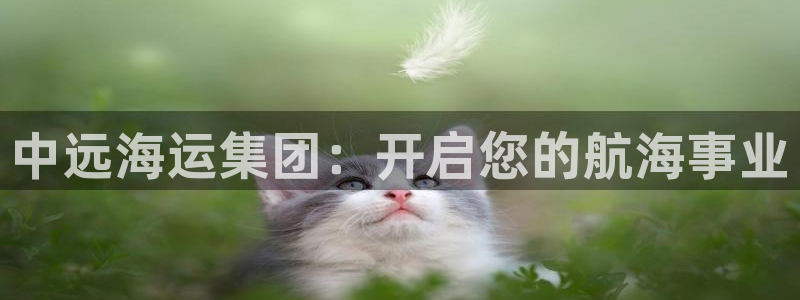公海欢迎来到