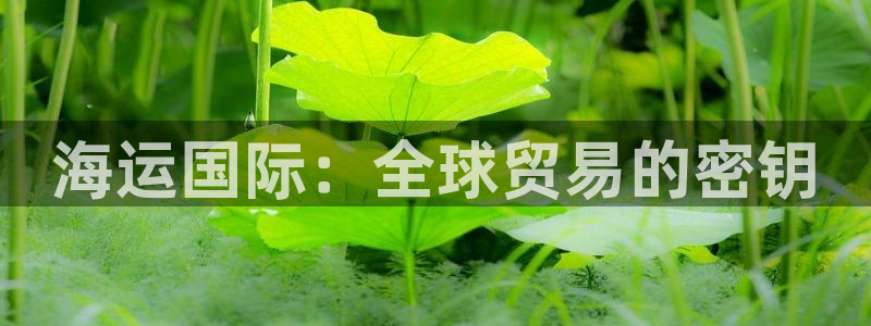 公海赌博为什么没人管