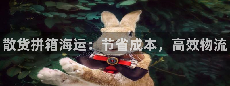 在公海赌博不违法吗