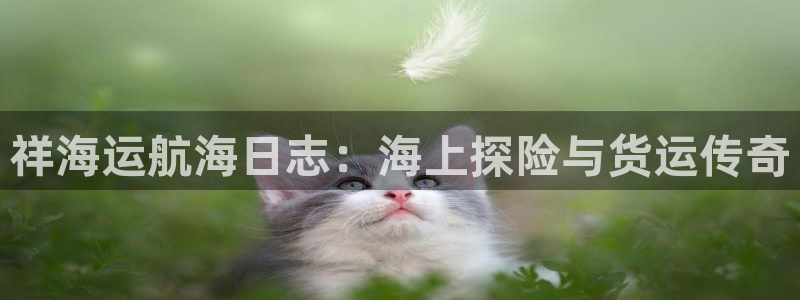 公海赌船赌博