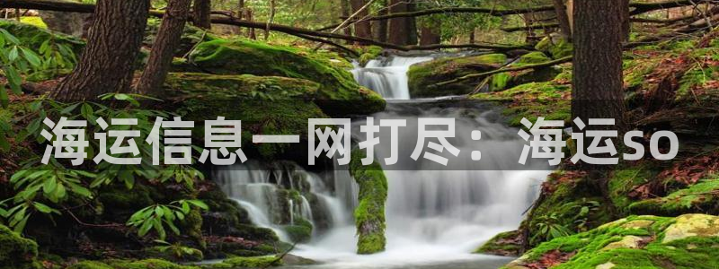 在公海赌博不违法吗