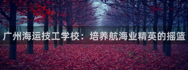 公海赌赌船jcjc710