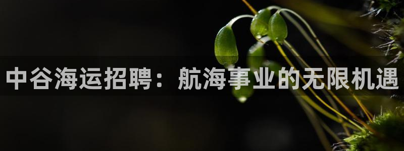欢迎来到公海手机版710