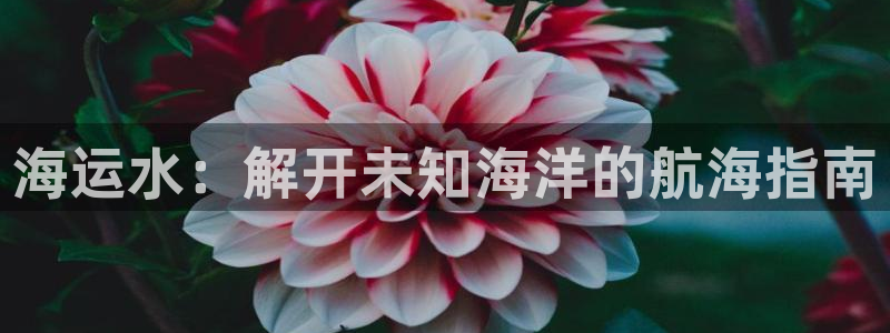 公海赌博犯法吗