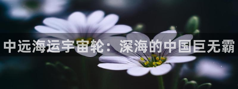 公海赌钱算合法收益吗