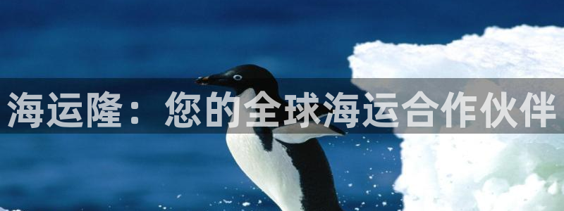 欢迎来到公赌船
