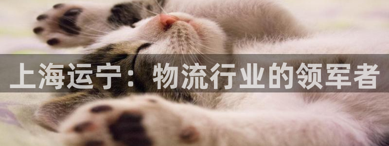 欢迎公海来到赌船710_首页(欢迎您)
