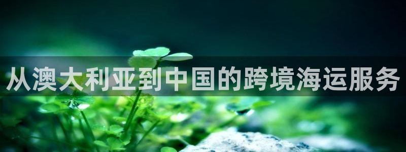 公海赌赌船
