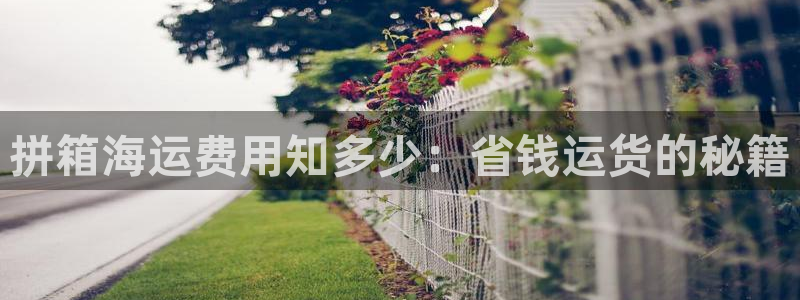 去公海赌博