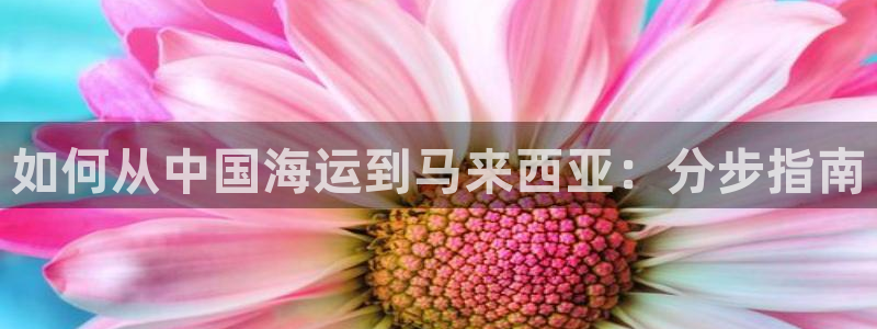 欢迎你来到公海欢迎你来到赌船