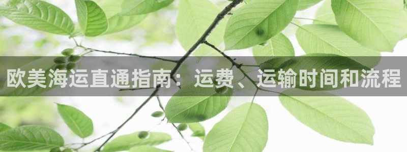 欢迎来到大海