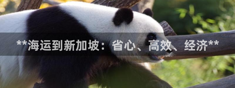公海赌博怎么处理