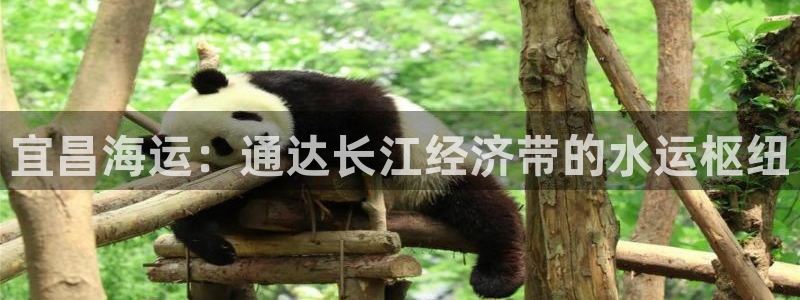 欢迎来到公海7109线路