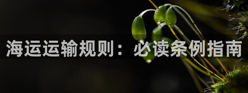 欢迎来到公海555000