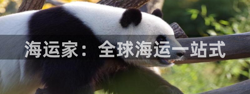 欢迎您来到公海欢迎来到赌船