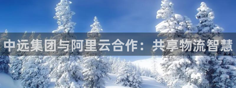 在公海赌博犯法吗