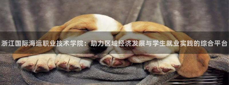 欢迎您来到公海欢迎您来到赌船