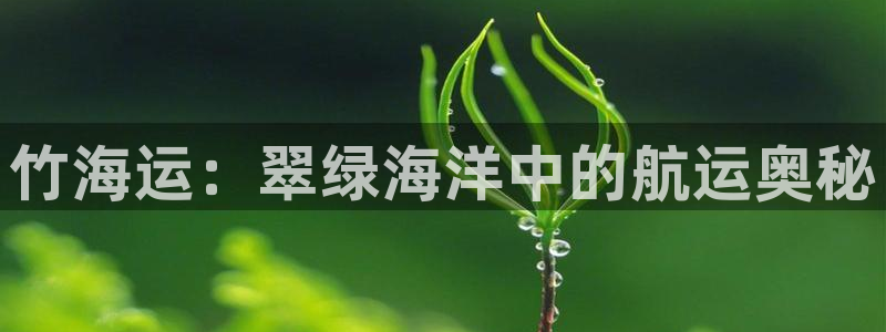 公海赌钱