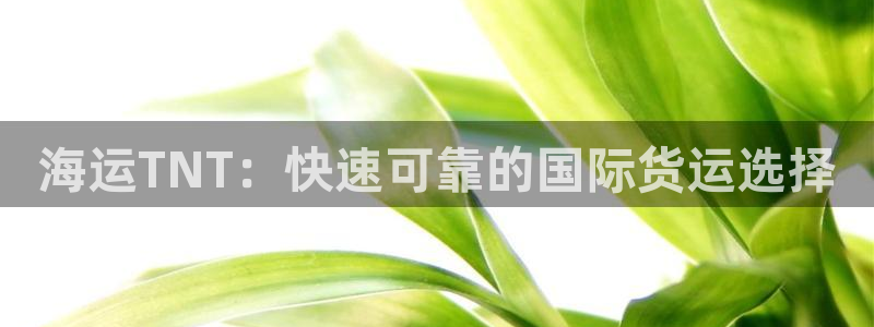 欢迎来公海欢迎来赌船!