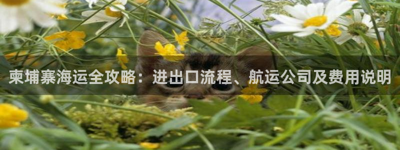 欢迎你来到公海 赌船