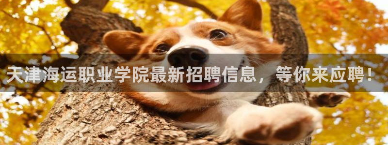 欢迎来到 公园