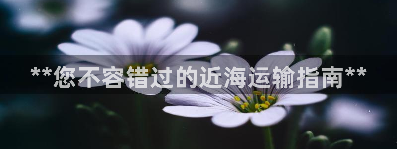 公海赌钱很大吗