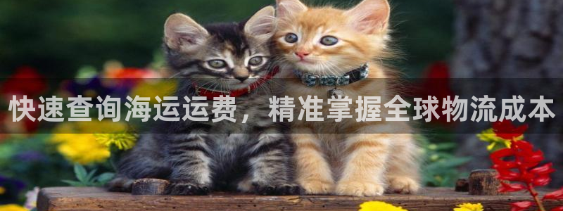 公海船赌网站是多少