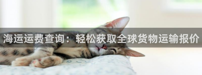 欢迎来到公海欢迎来到赌船