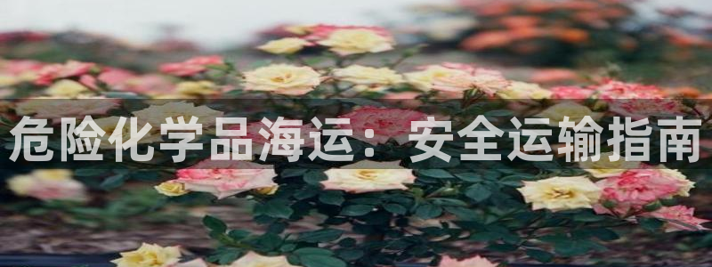 去公海赌博