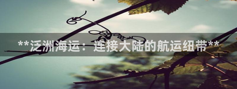 欢迎来公海欢迎来到赌船