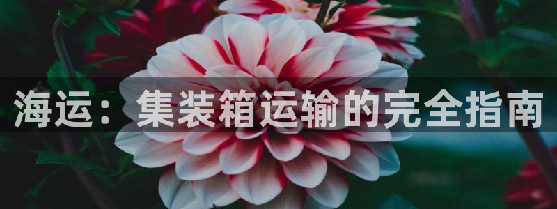 710公海赌赌船有总代理吗