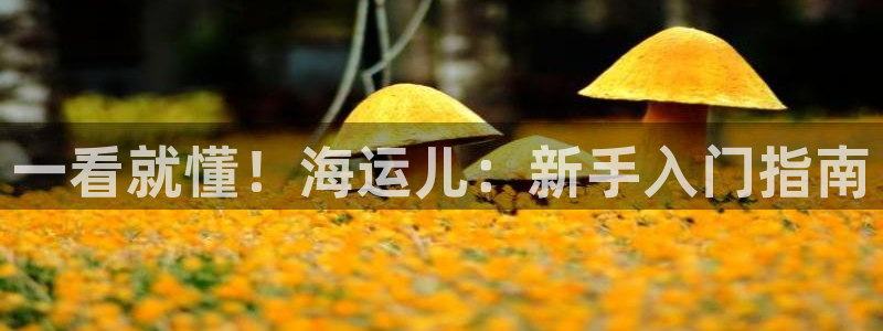 欢迎来到公海欢迎来到赌船!!