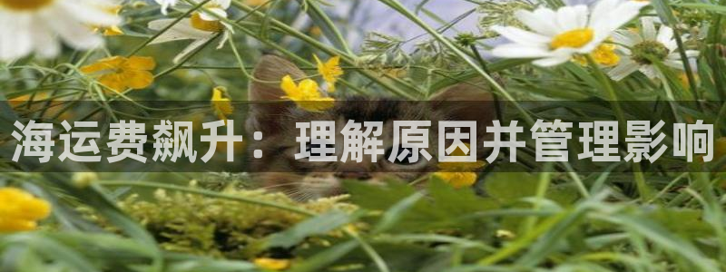 欢迎您来到公海