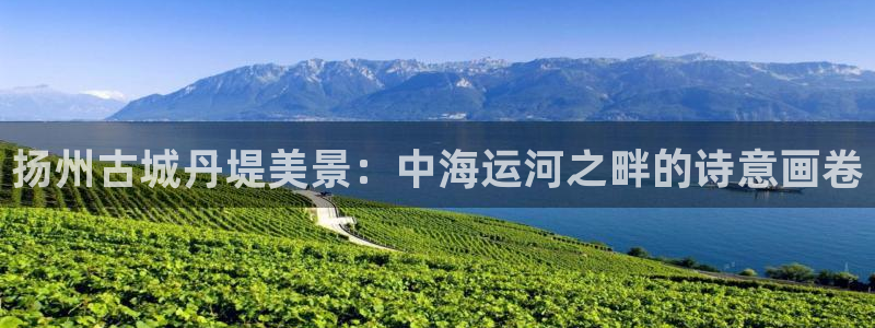 欢迎你来到 公主的海岛