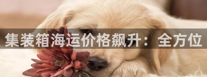公海赌赌船利息宝是真的吗