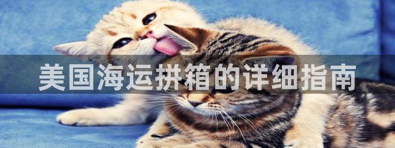 欢迎您来到公海欢迎您来到赌船