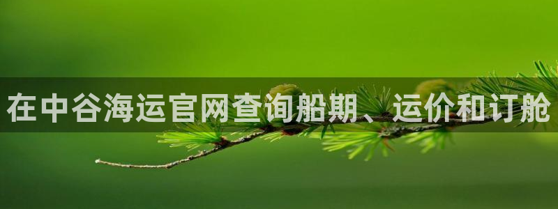 欢迎你来到公海欢迎你来到赌船