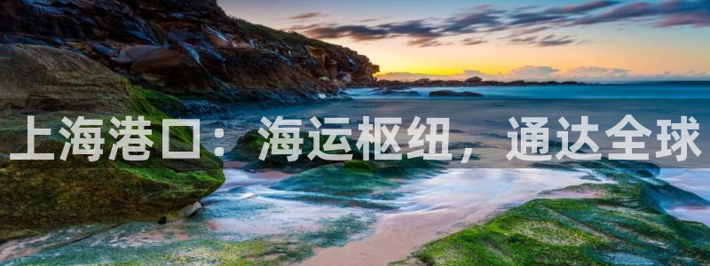 公海赌博为什么没人管