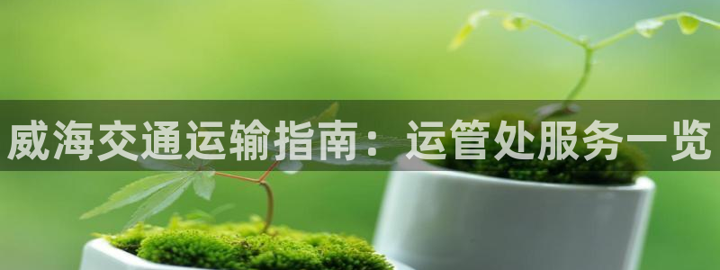 公海 赌船710手机版下载官方