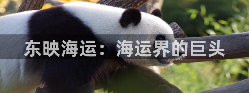 公海赌赌船官网710忘记账号了