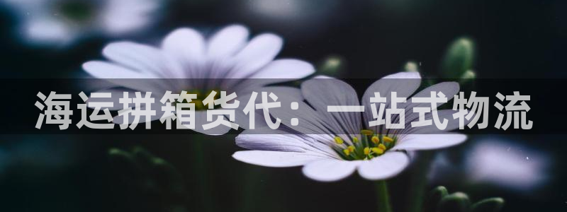公海赌博为什么没人管